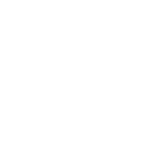 Seattle Bouldering Project logo